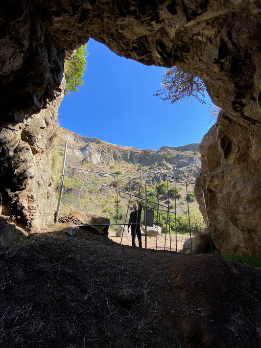 From the inside looking out.