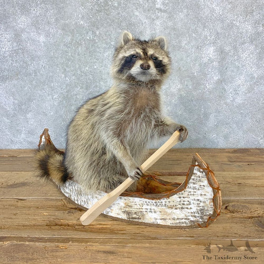 Just out here floating along.