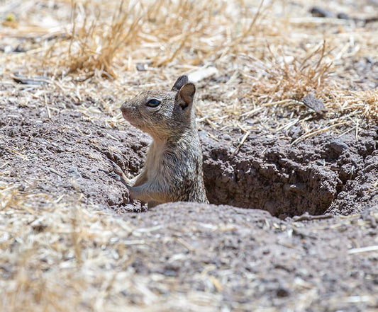 One for the weekend.